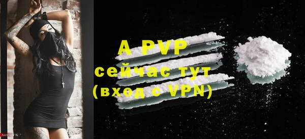 apvp Алексин