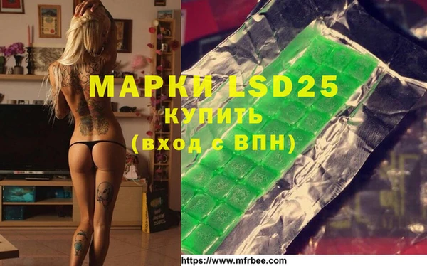 ешки Новозыбков