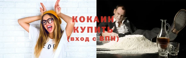 apvp Алексин